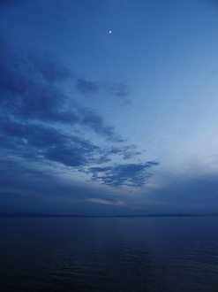 P6240189_thumb.png
