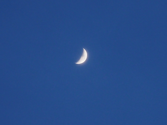 P6240191_thumb.png