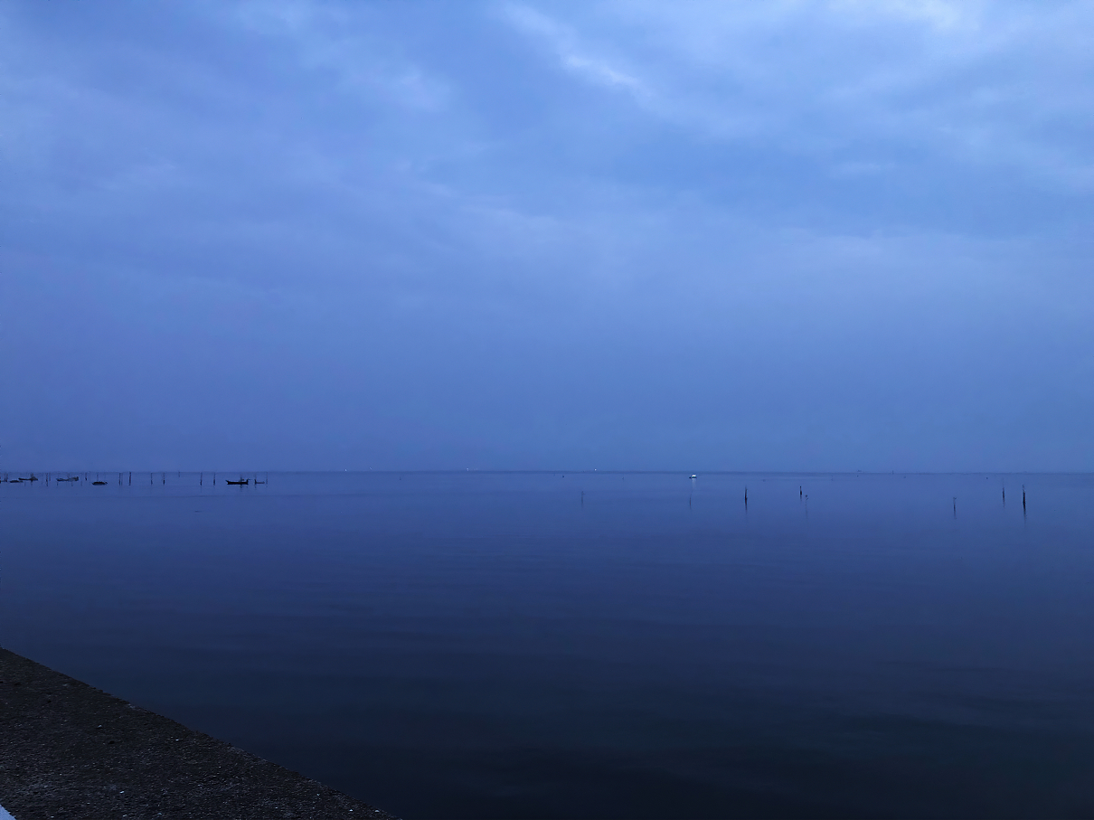 IMG_2549.jpg