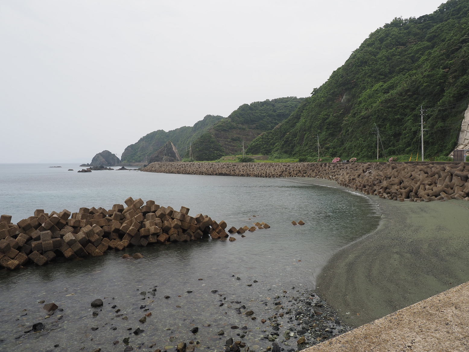 P6250253.jpg