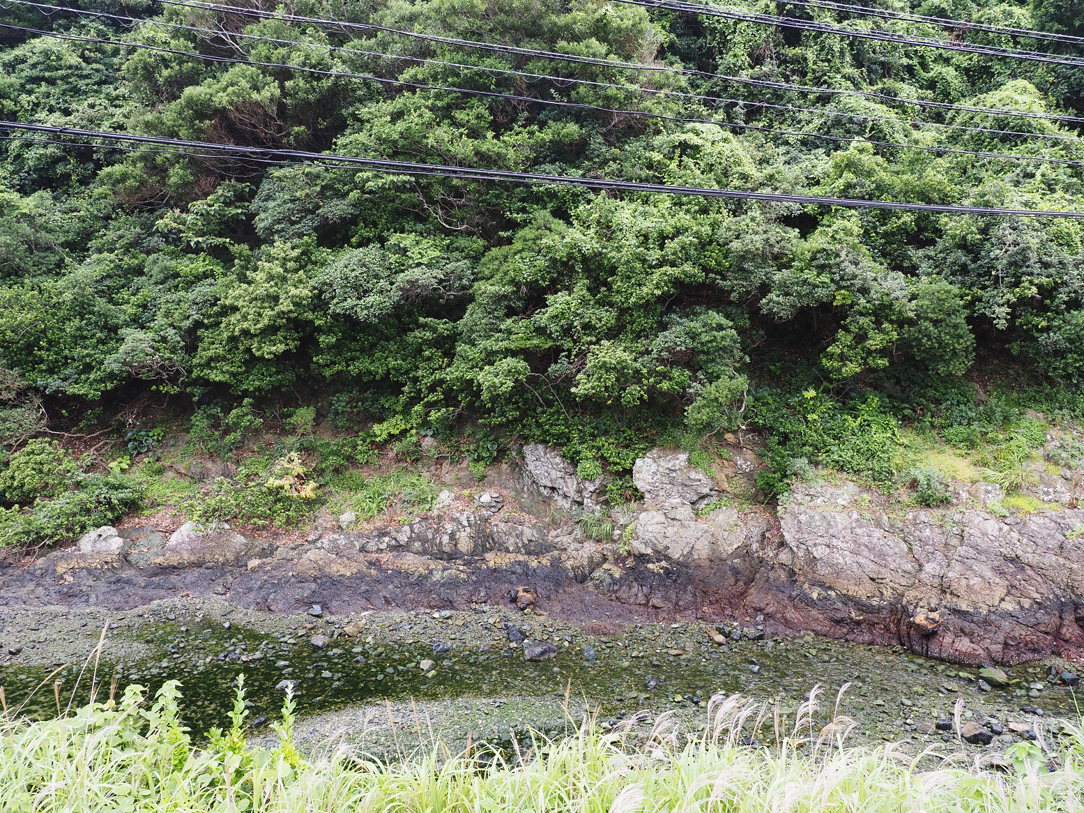 P6250260.jpg