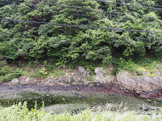 P6250260_thumb.png