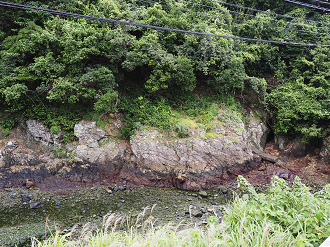 P6250261_thumb.png