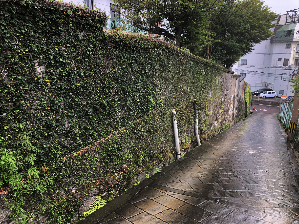 P6250265-067.jpg