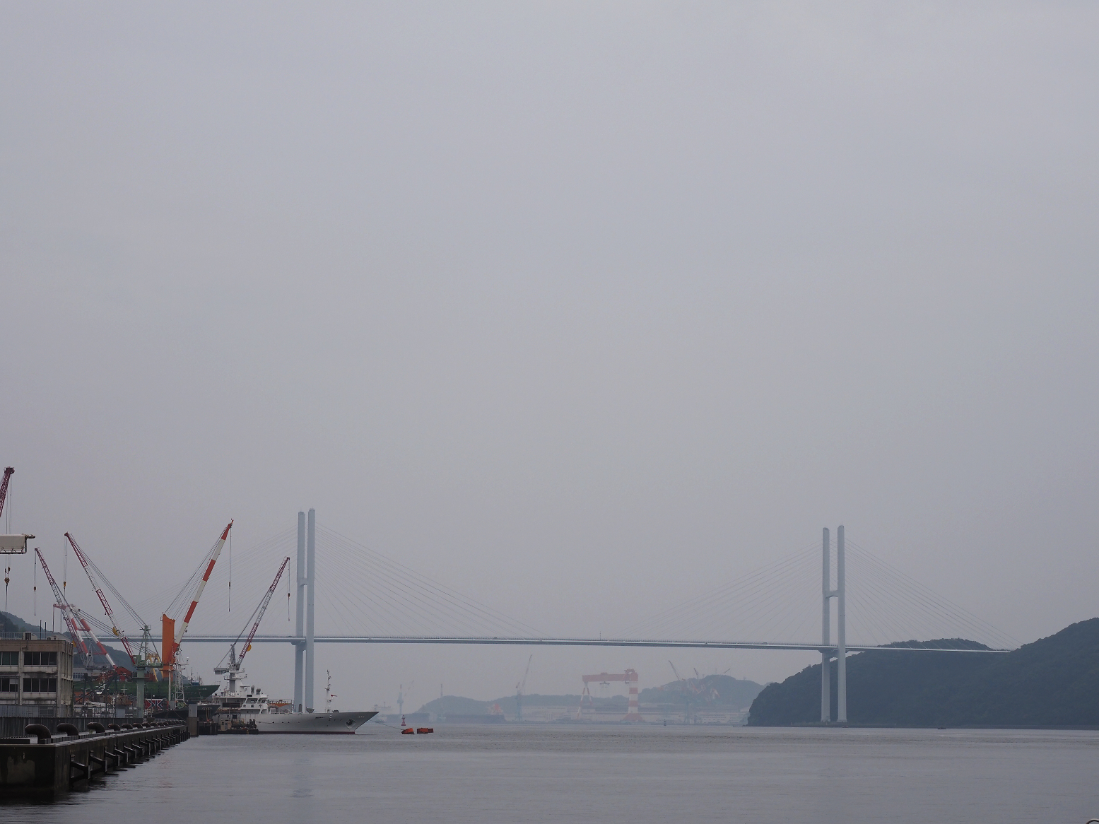 P6250278.jpg