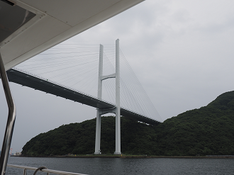 P6250342_thumb.png
