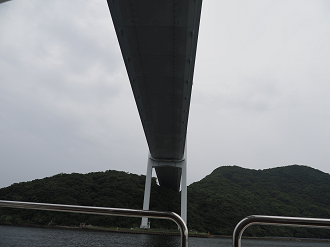 P6250343_thumb.png