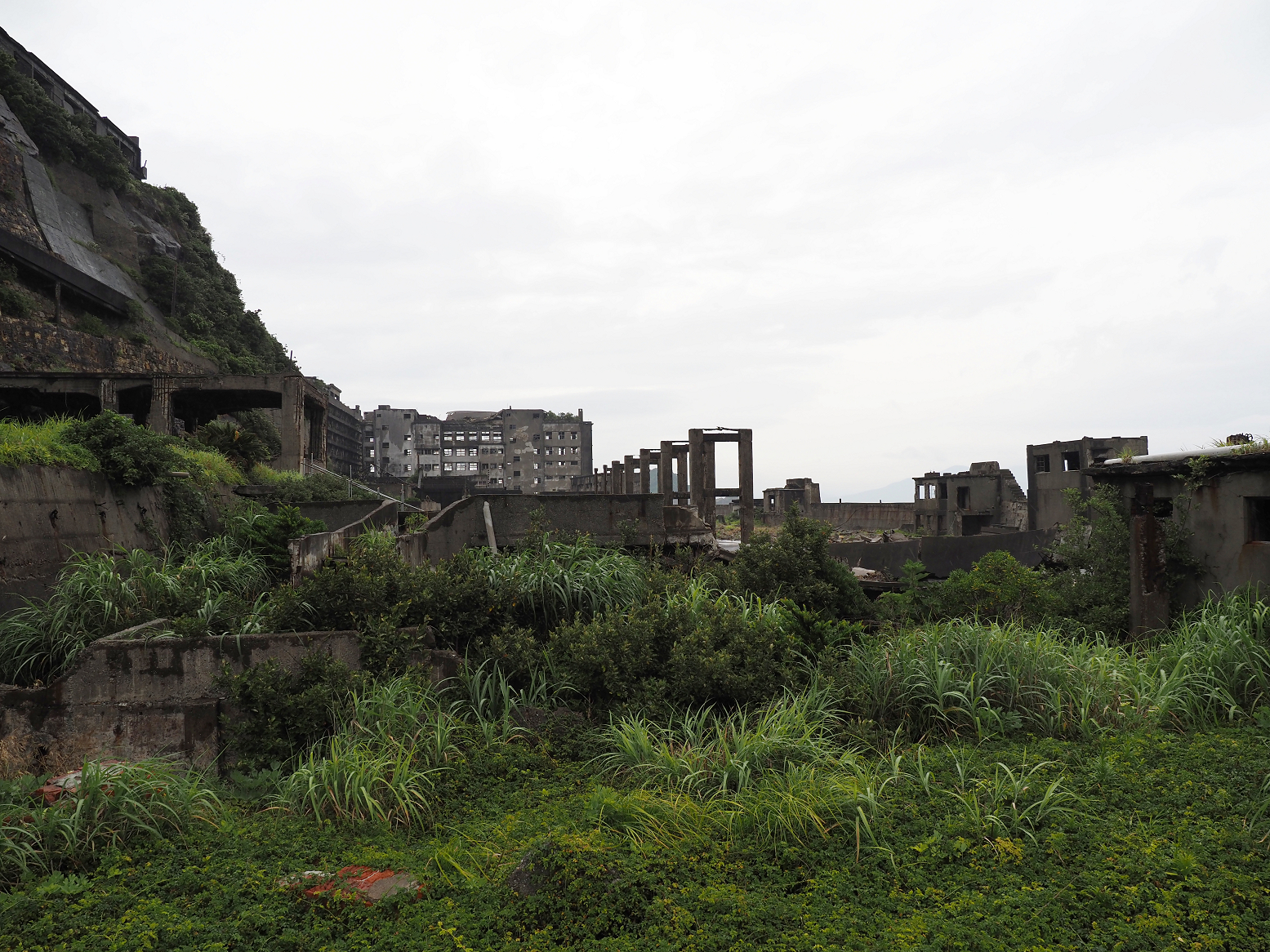 P6250564.jpg