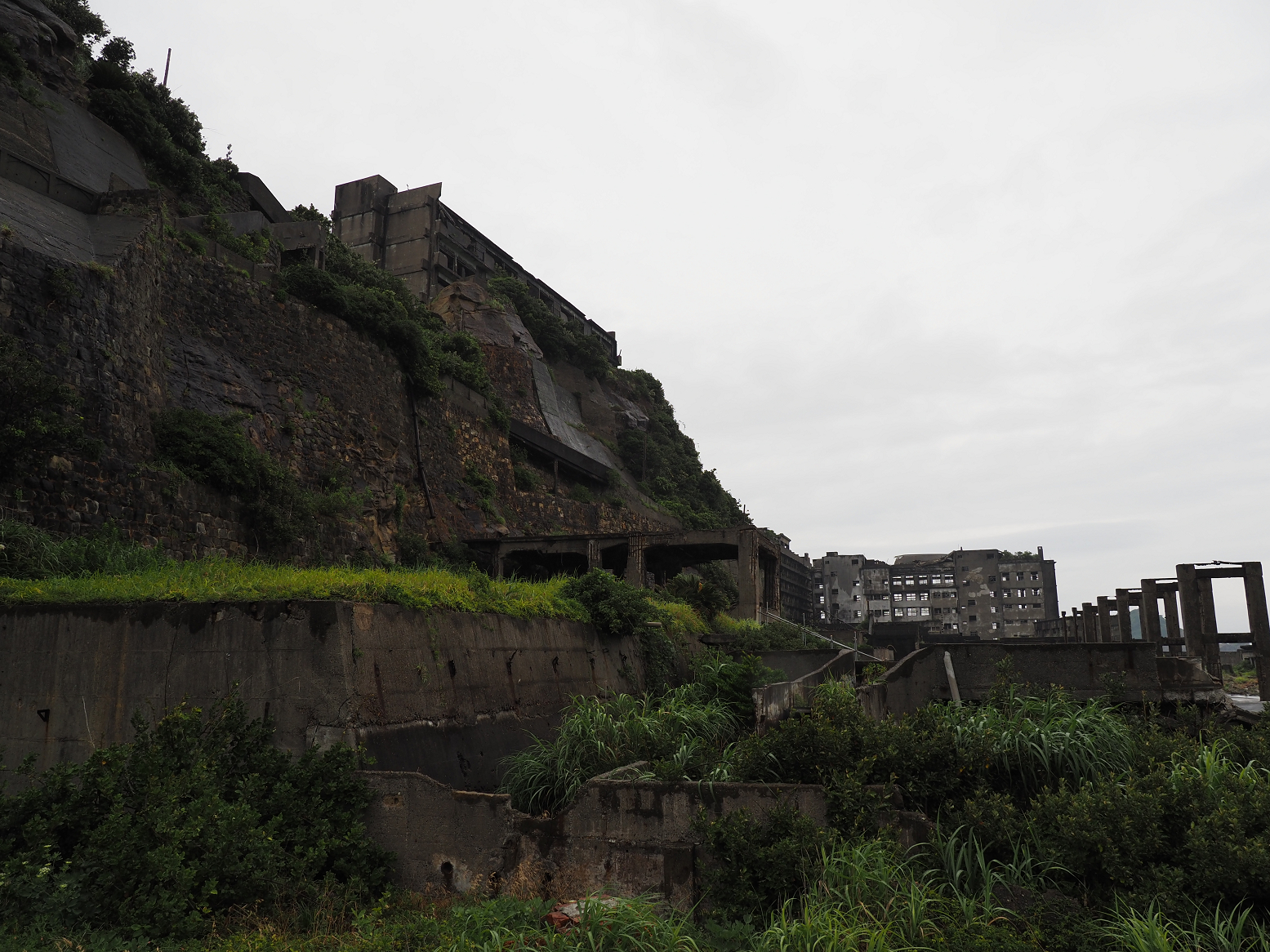 P6250566.jpg