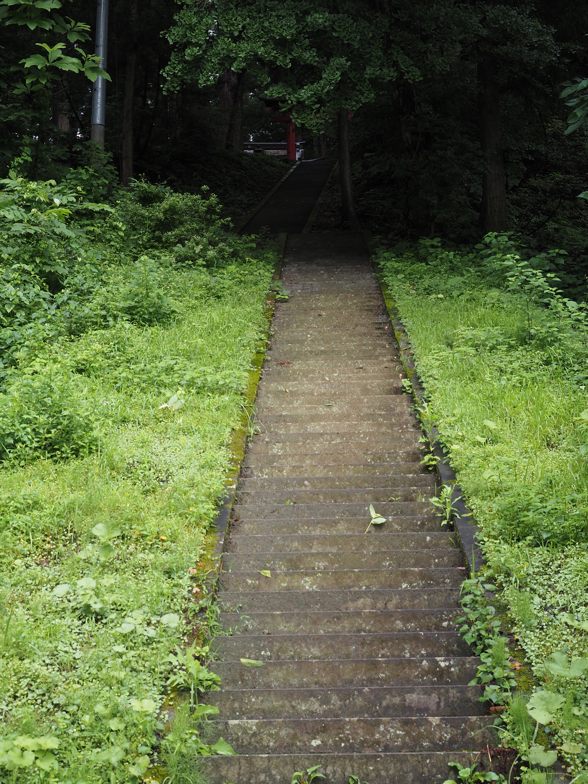 P7130008.jpg