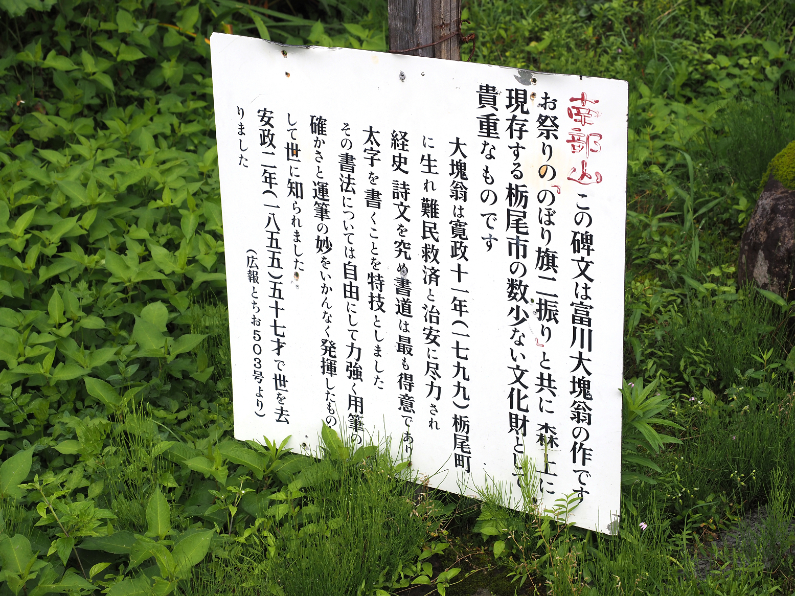 P7130009.jpg