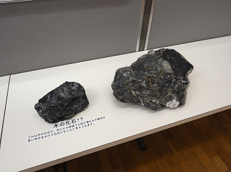 P7130123_thumb.png