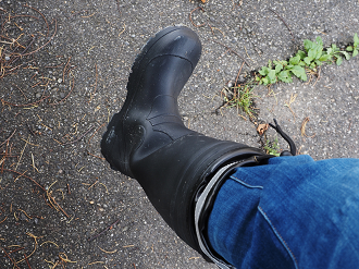 P7130131_thumb.png