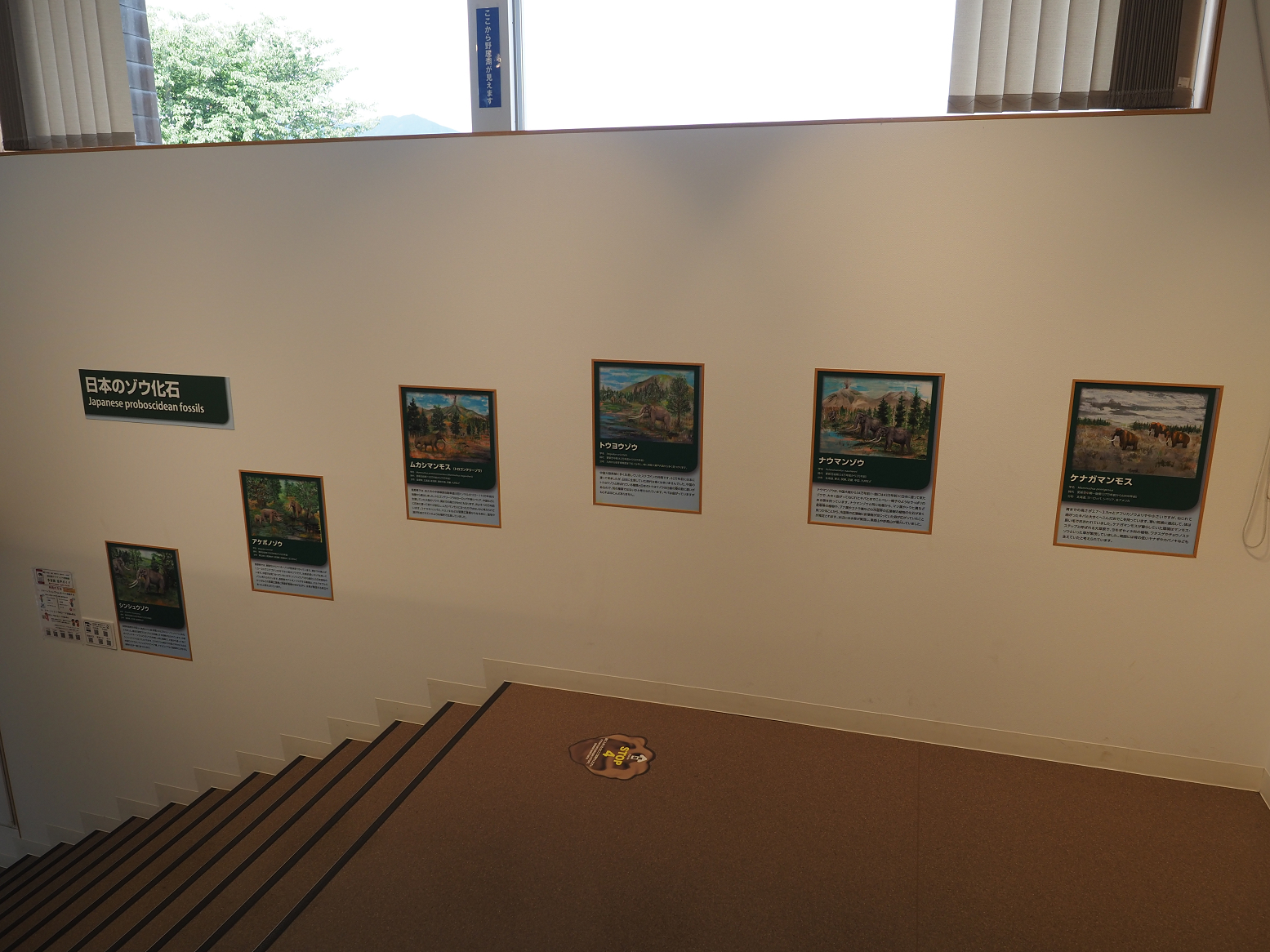 P7150344.jpg