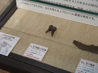 P7150353_thumb.png