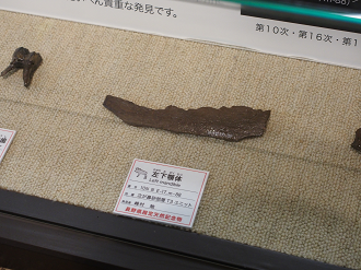 P7150354_thumb.png