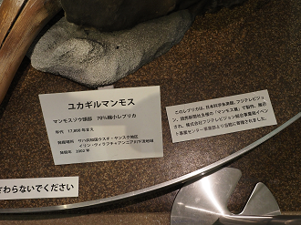 P7150375_thumb.png