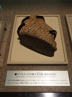 P7150379_thumb.png