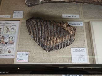 P7150396_thumb.png