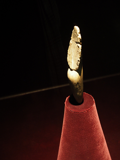 P7150407_thumb.png