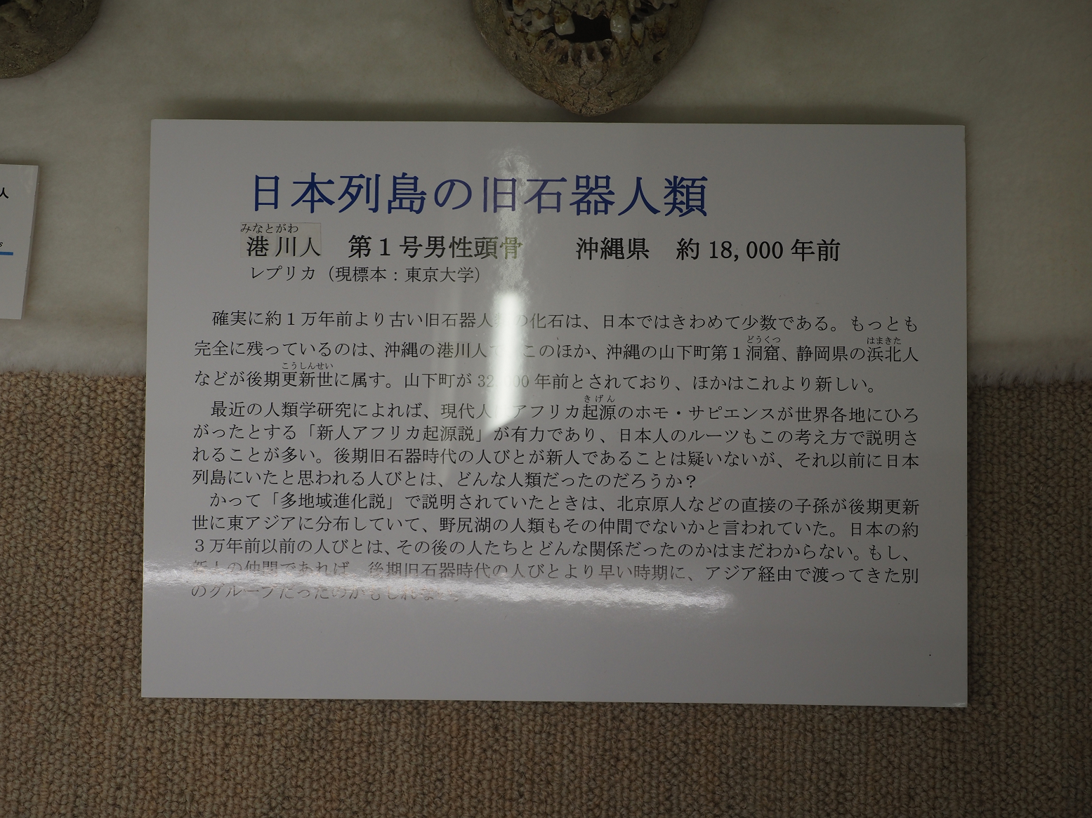 P7150411.jpg