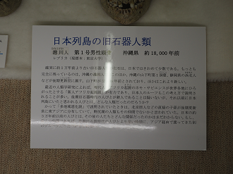 P7150411_thumb.png