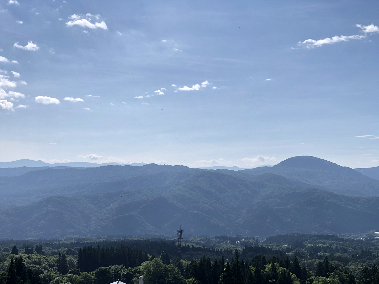 P7150424-011.jpg