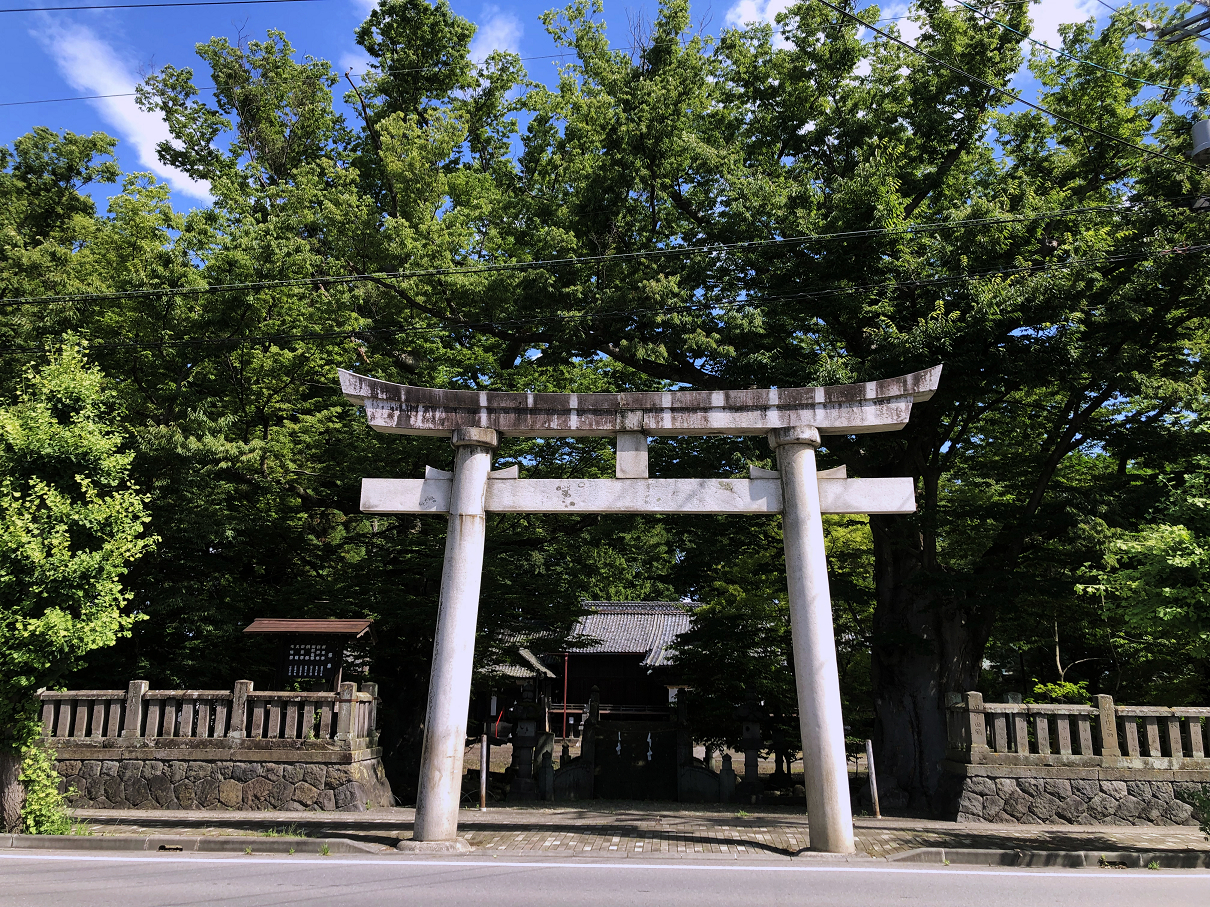 P7150424-071.jpg