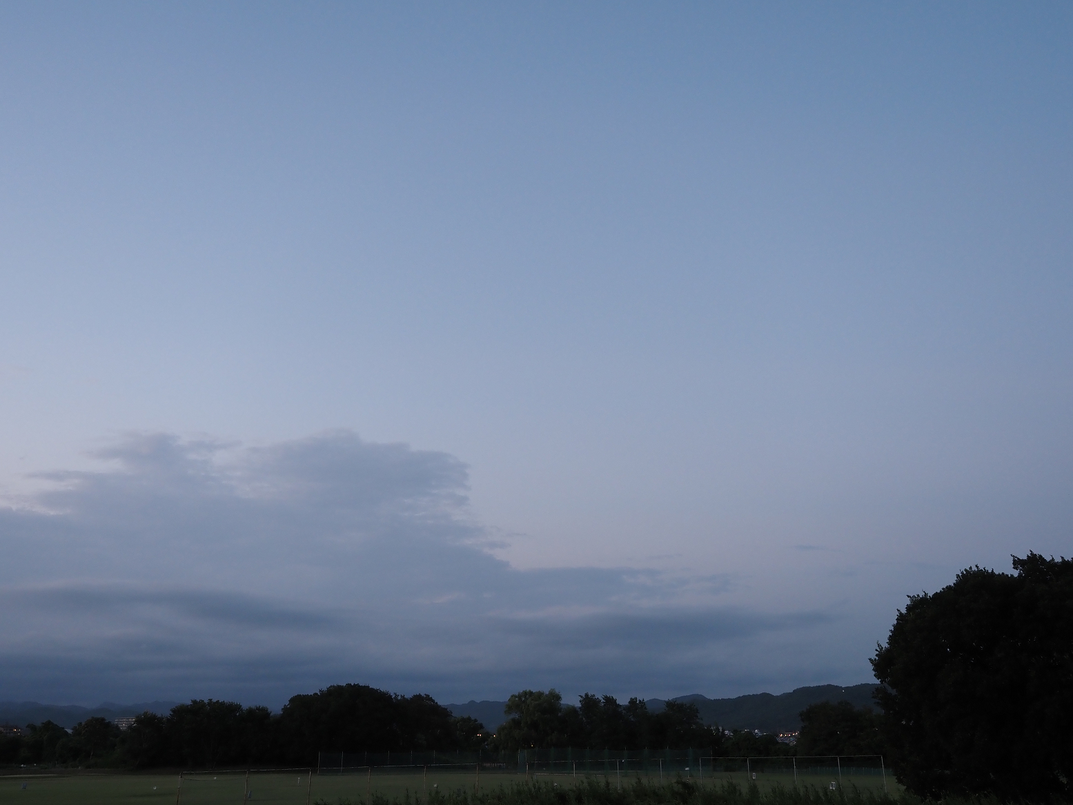P8050562.jpg