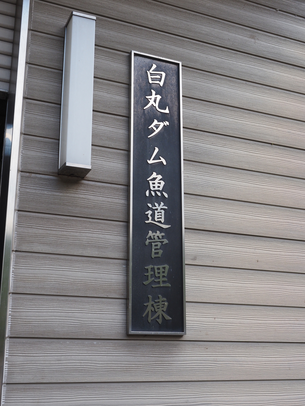 P8060002.jpg
