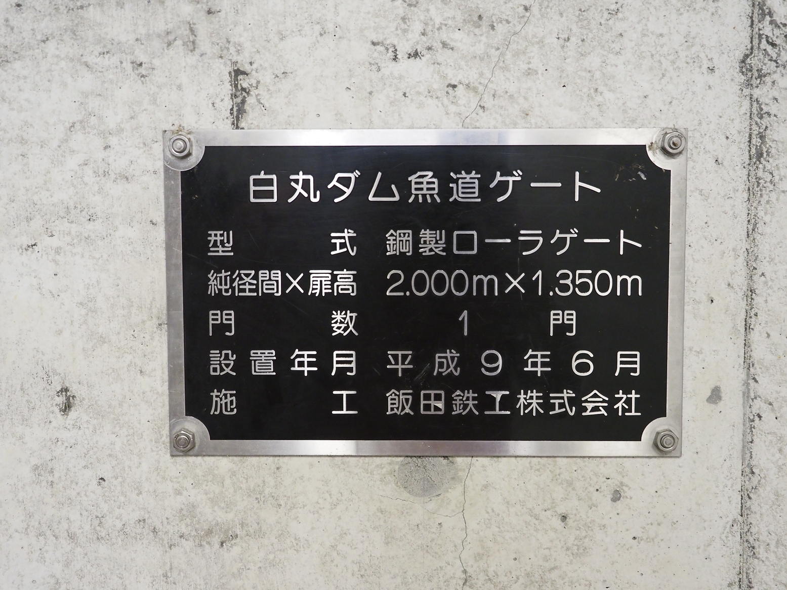 P8060038.jpg