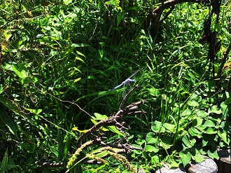 P8060072-015_thumb.png