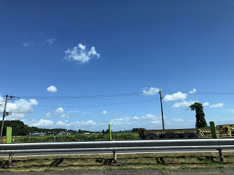 P8110121-011_thumb.png