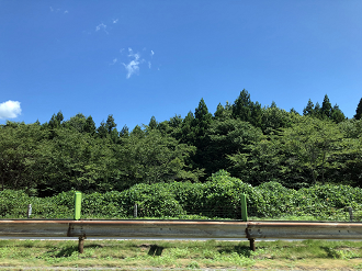 P8110121-019_thumb.png