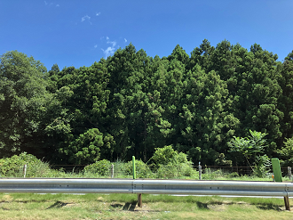 P8110121-027_thumb.png