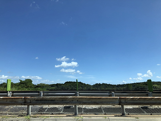 P8110121-043_thumb.png
