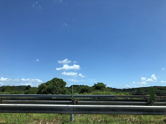 P8110121-047_thumb.png