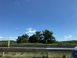 P8110121-051_thumb.png