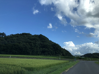 P8110121-081_thumb.png