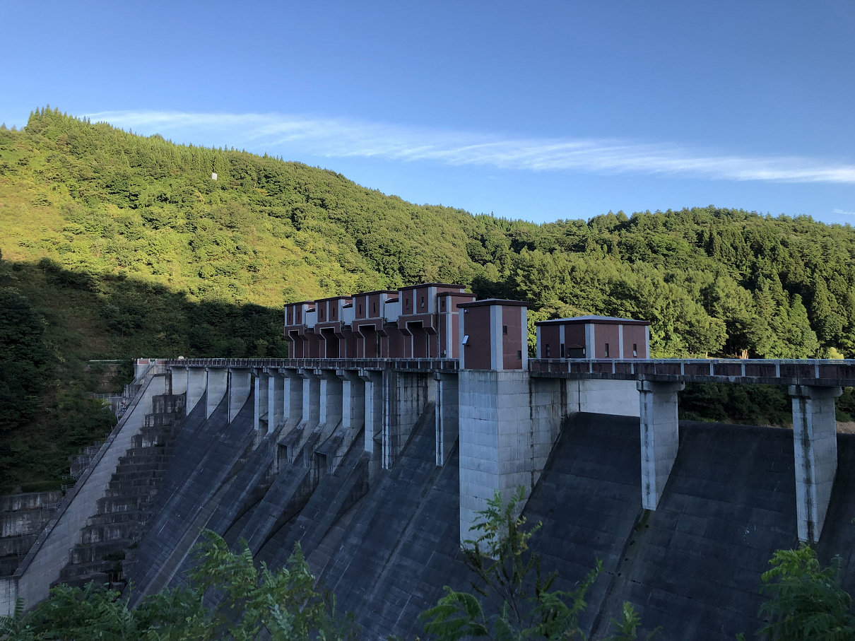 P8110121-141.jpg