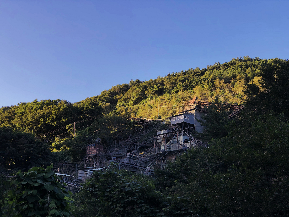 P8110121-145.jpg