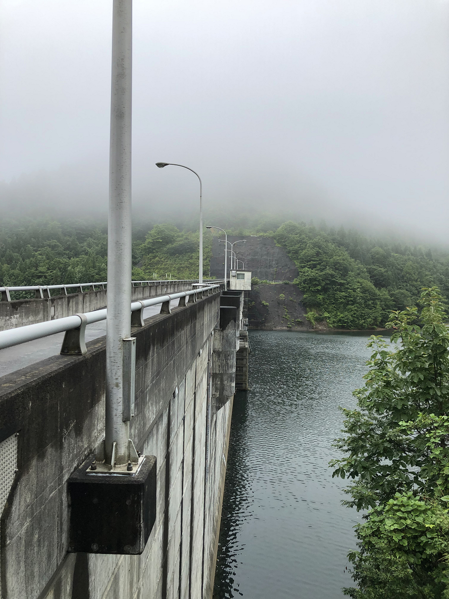 P8110121-267.jpg