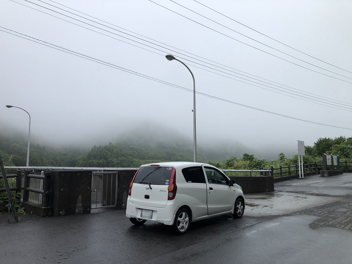 P8110121-275.jpg