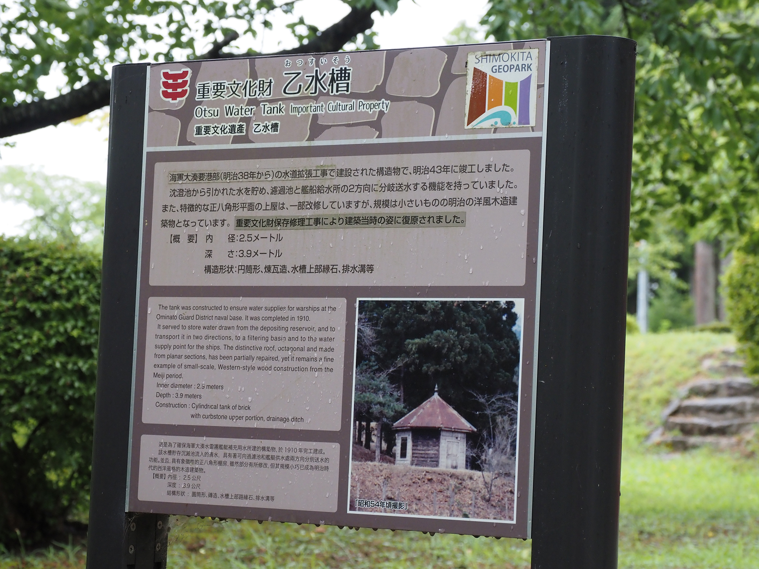 P8120144.jpg