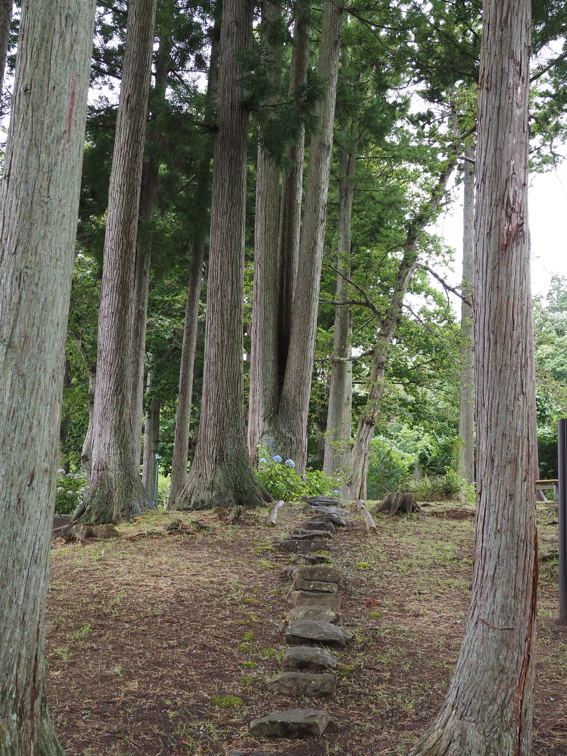 P8120146.jpg