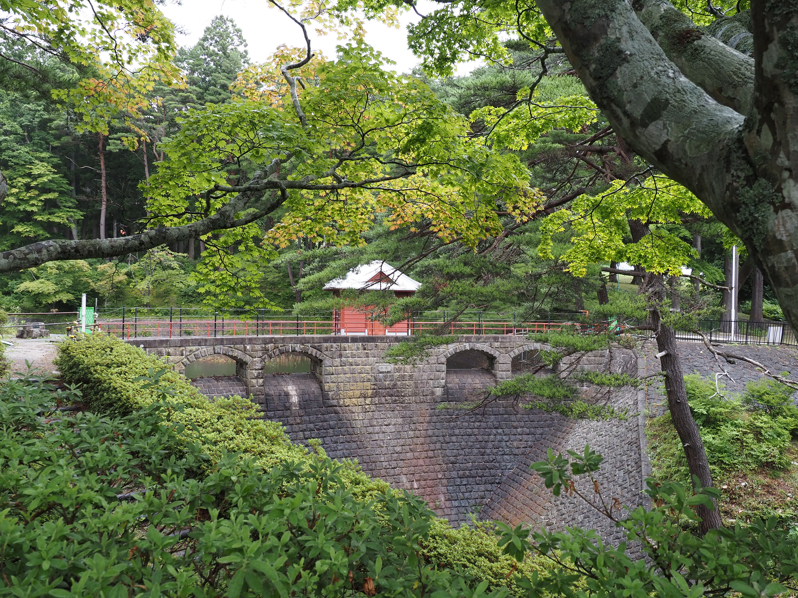 P8120148.jpg