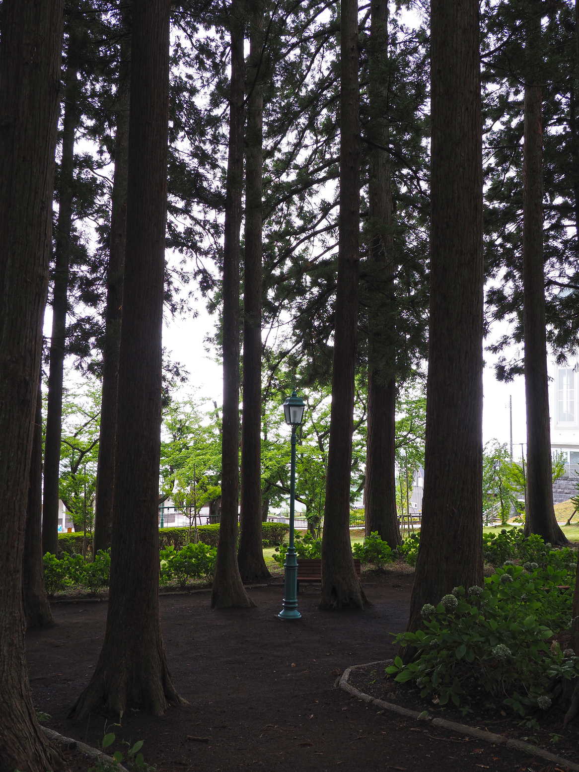 P8120153.jpg