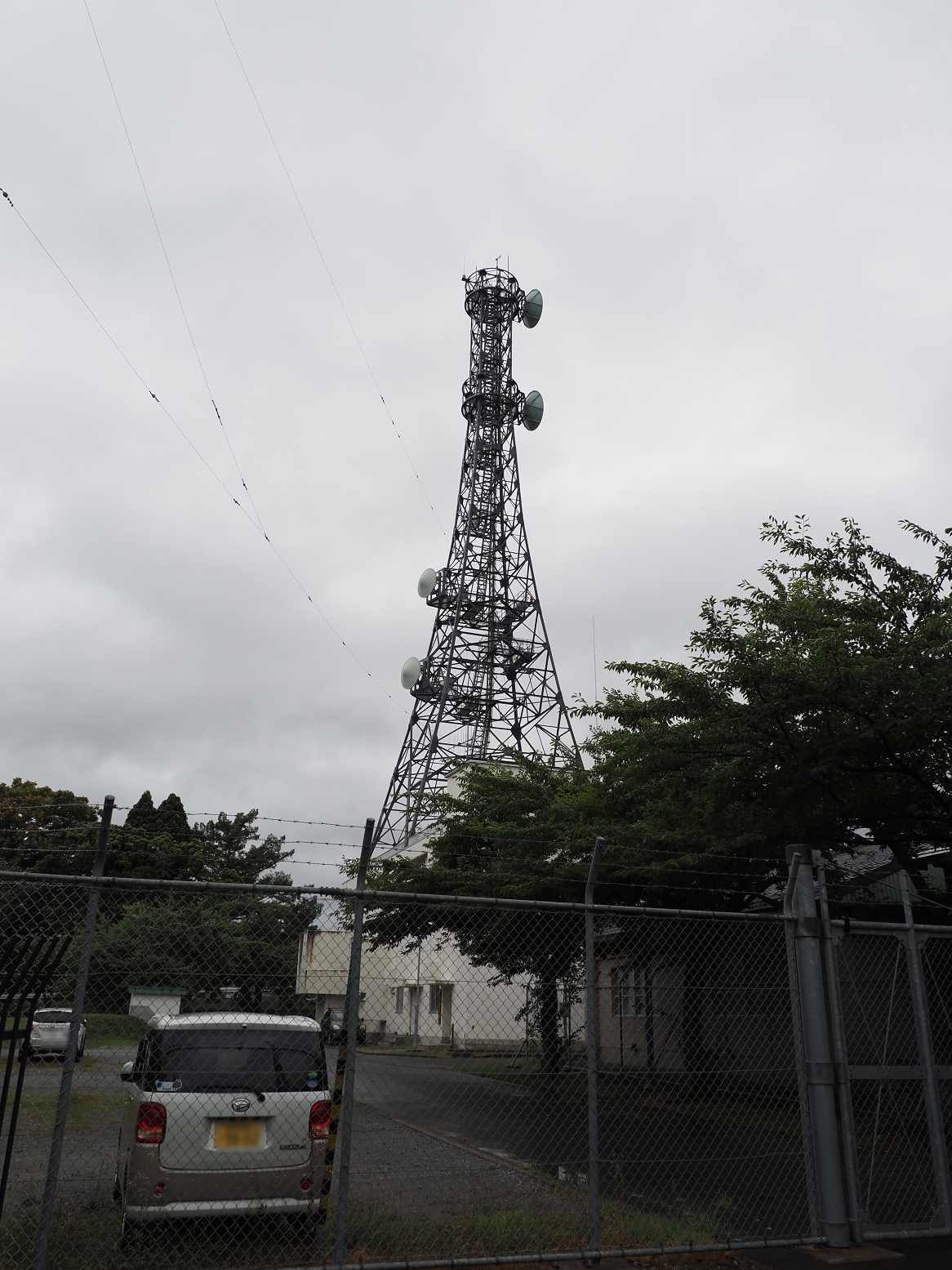 P8120155.jpg