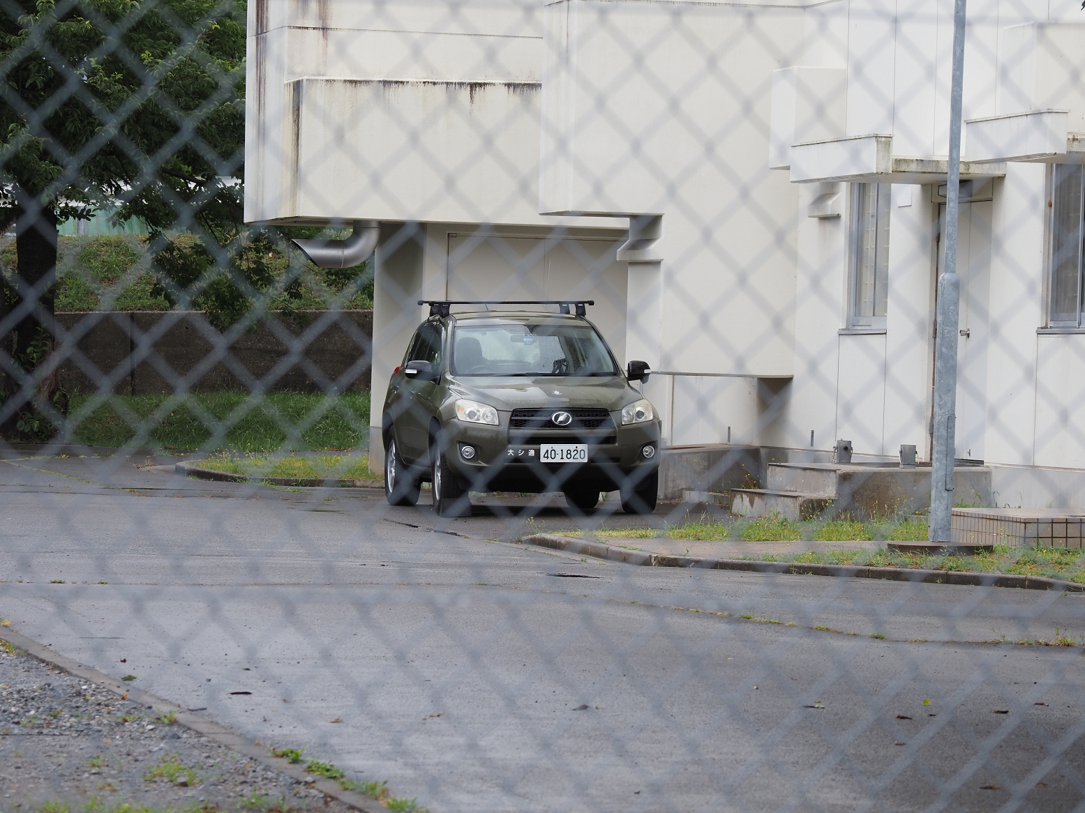 P8120156.jpg
