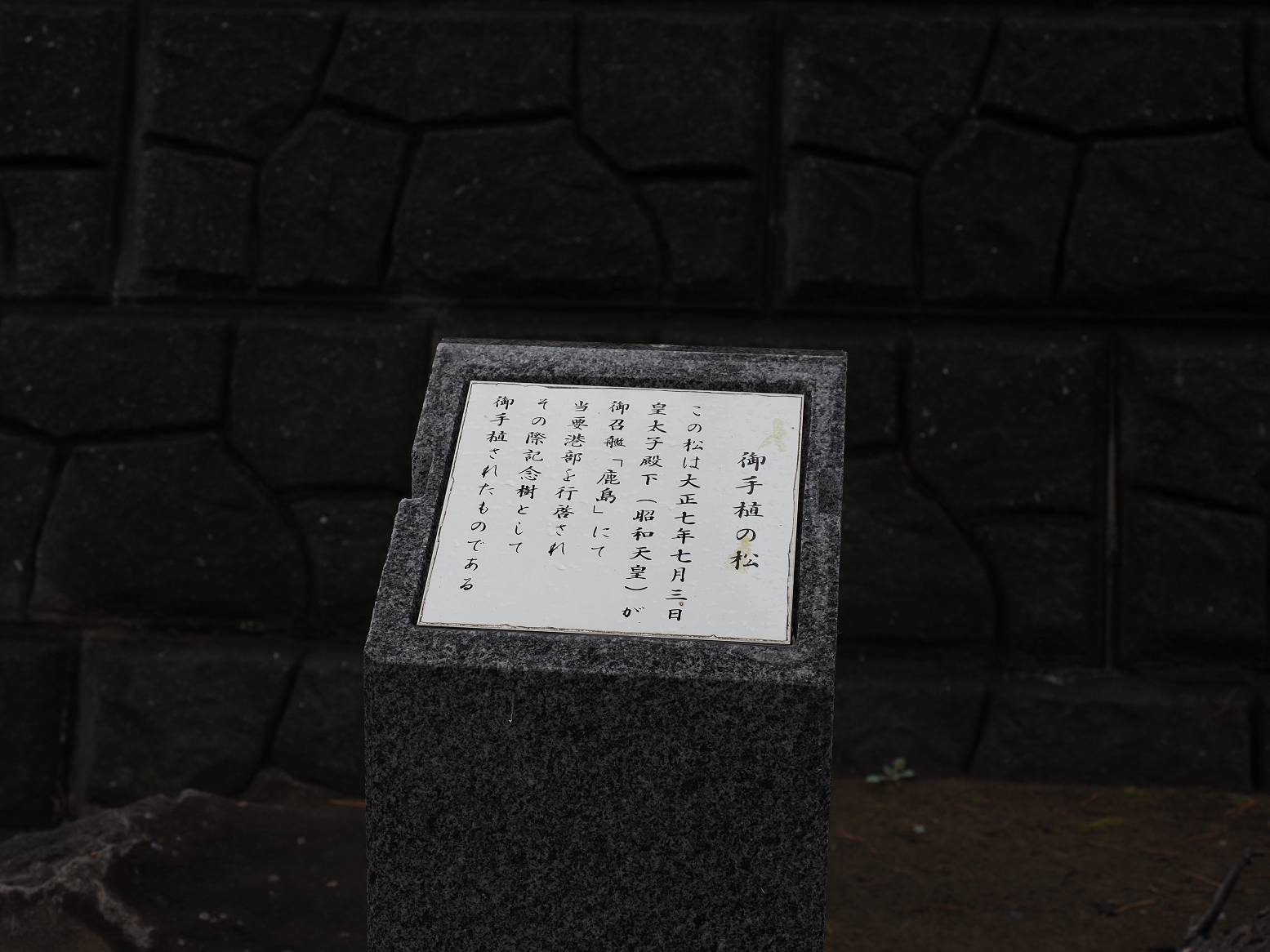P8120157.jpg